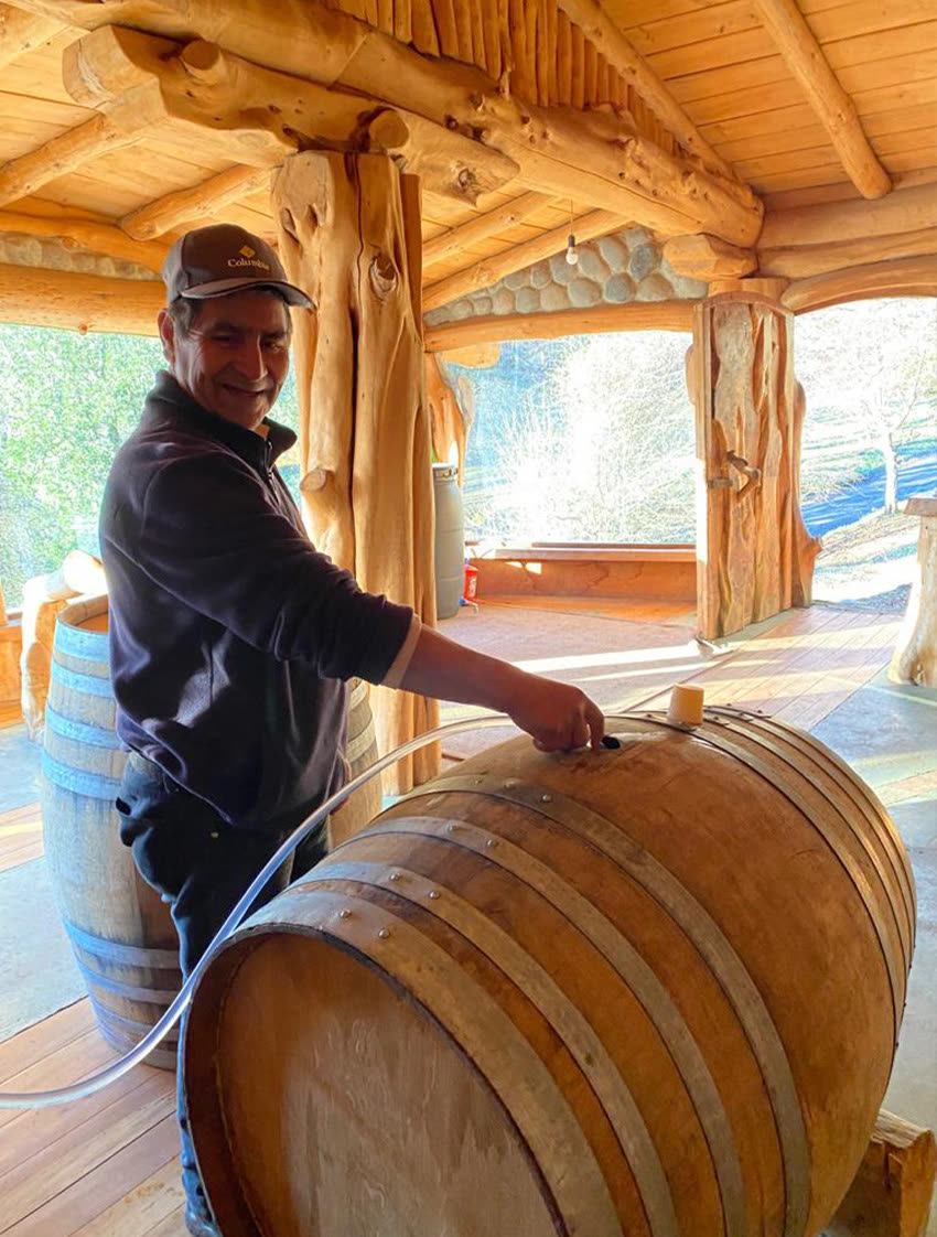 Trabajo manual en la bodega de la viña, trasegando una barrica