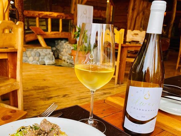 Una copa de Ilwen servida en el Restaurant Pehuen del Parque Termal Menetúe