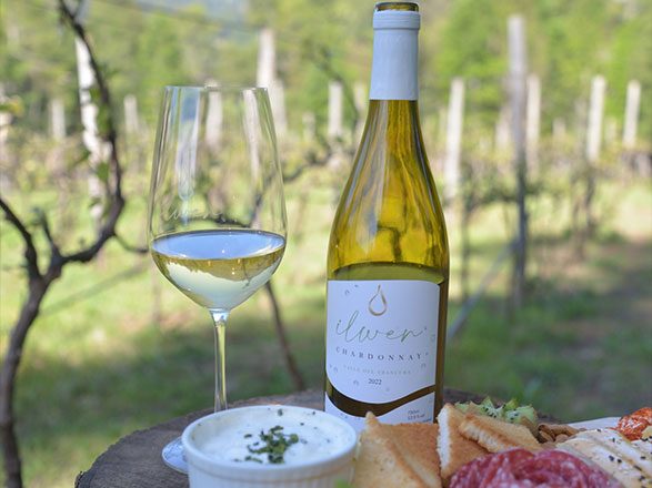 vina-aires-de-menetue9c